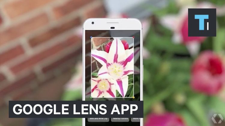 Google just showed off an Incredible Camera App that identifies Real-world Objects